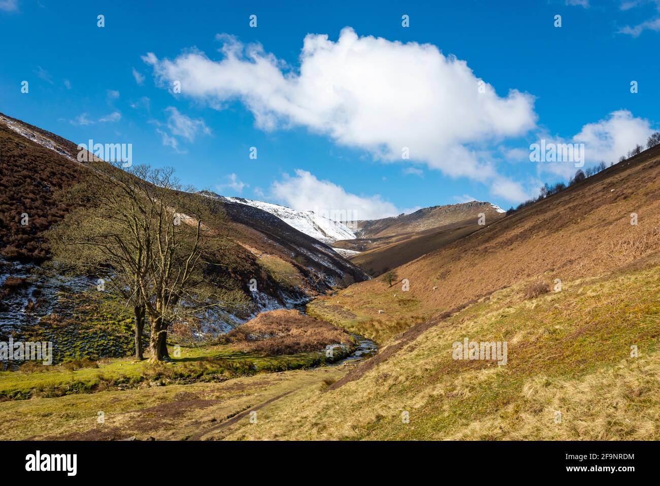 View up Fairbrook to the northern edge of Kinder Scout in the Peak District, Derbyshire, England. Stock Photo