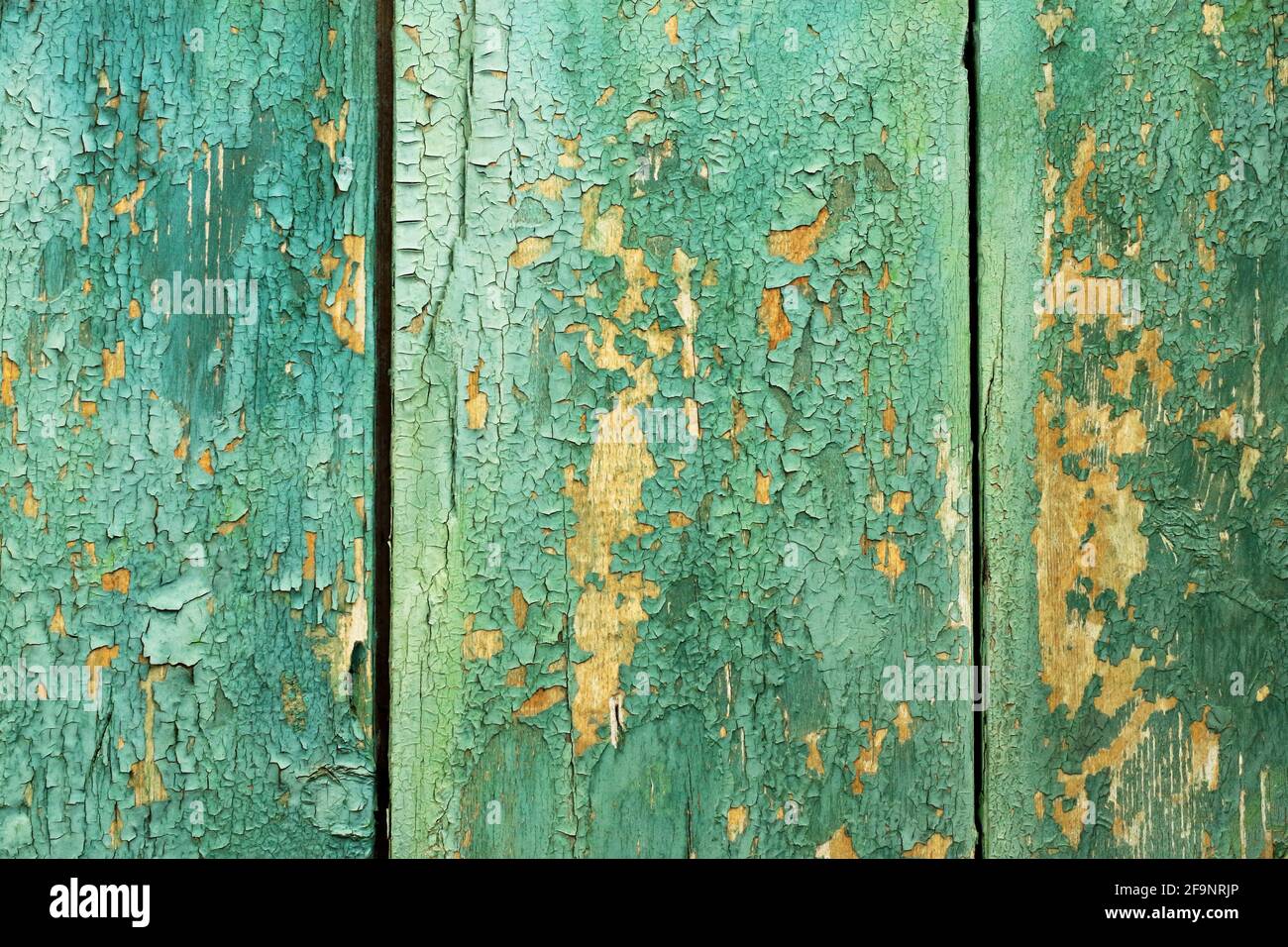Texture background of old wooden board with peeling paint close-up ...