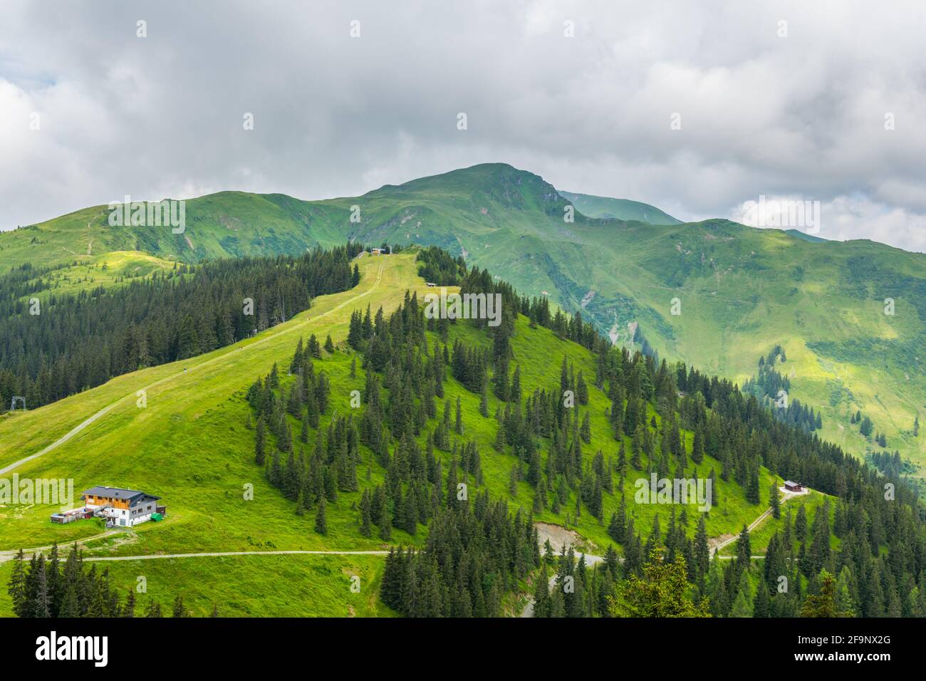 View of the alps along the famous hiking trail Pinzgauer spaziergang near Zell am See, Salzburg region, Austria. Stock Photo