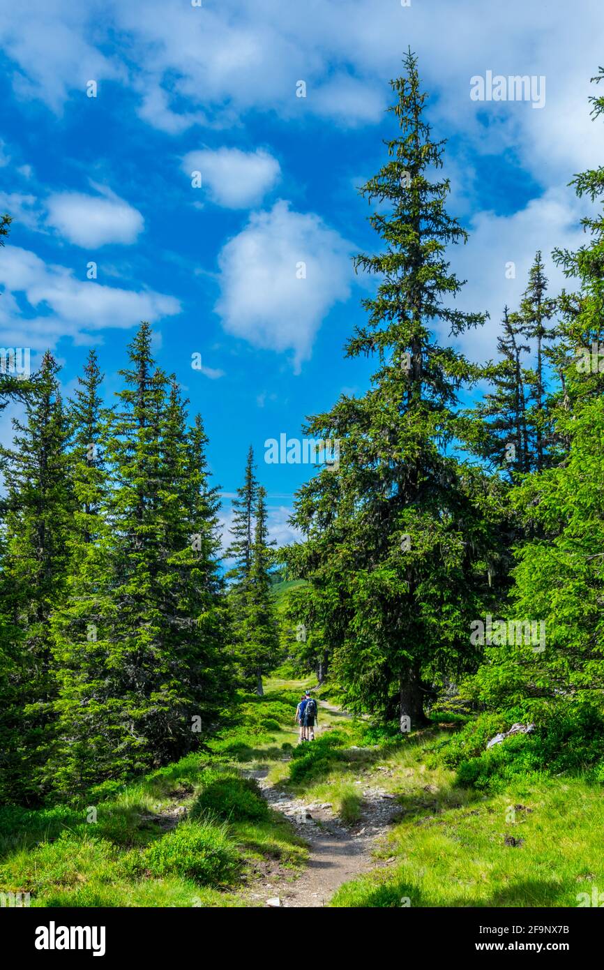 View of the alps along the famous hiking trail Pinzgauer spaziergang near Zell am See, Salzburg region, Austria. Stock Photo