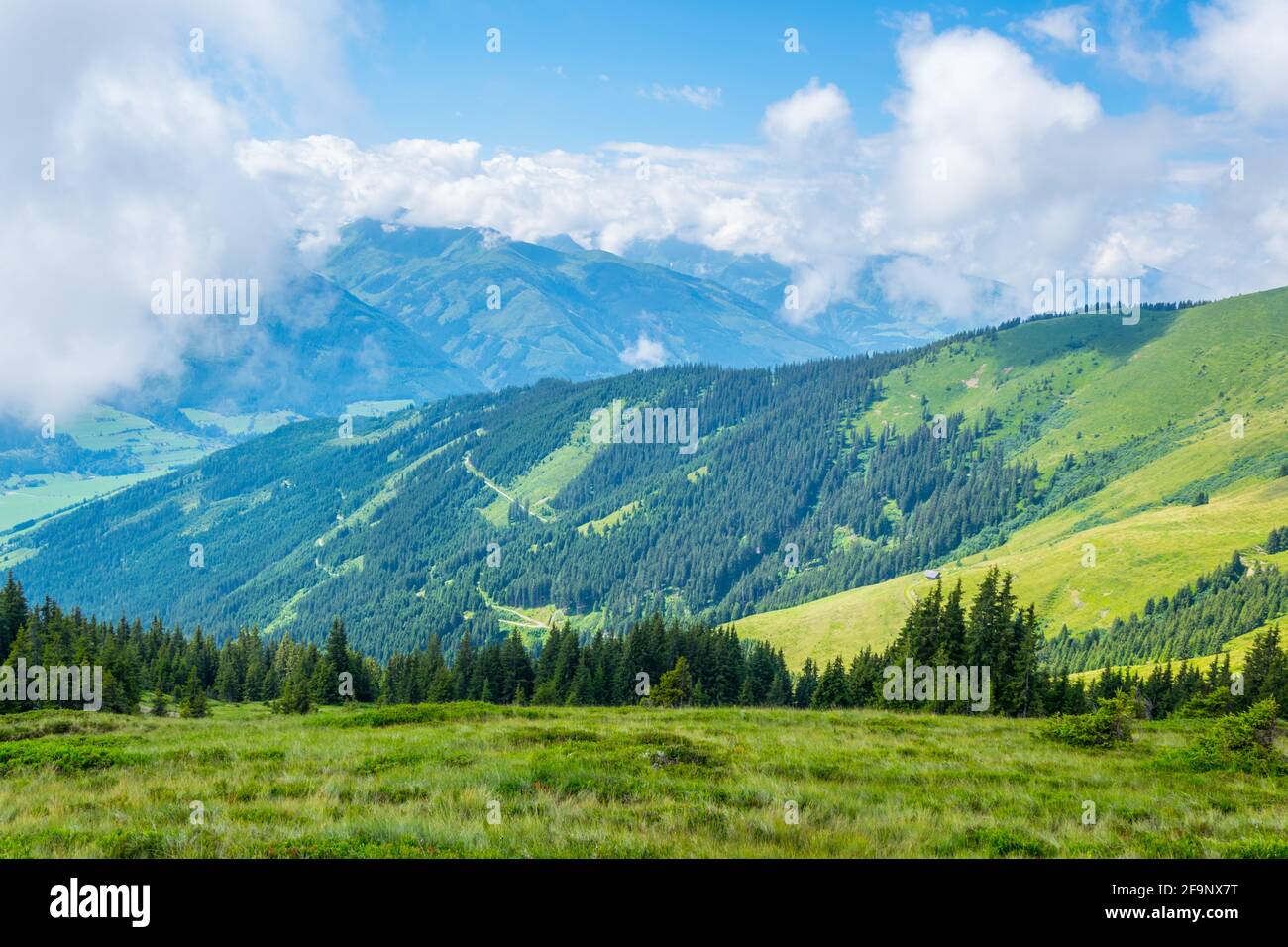 View of the alps along the famous hiking trail Pinzgauer spaziergang near Zell am See, Salzburg region, Austria. Stock Photo
