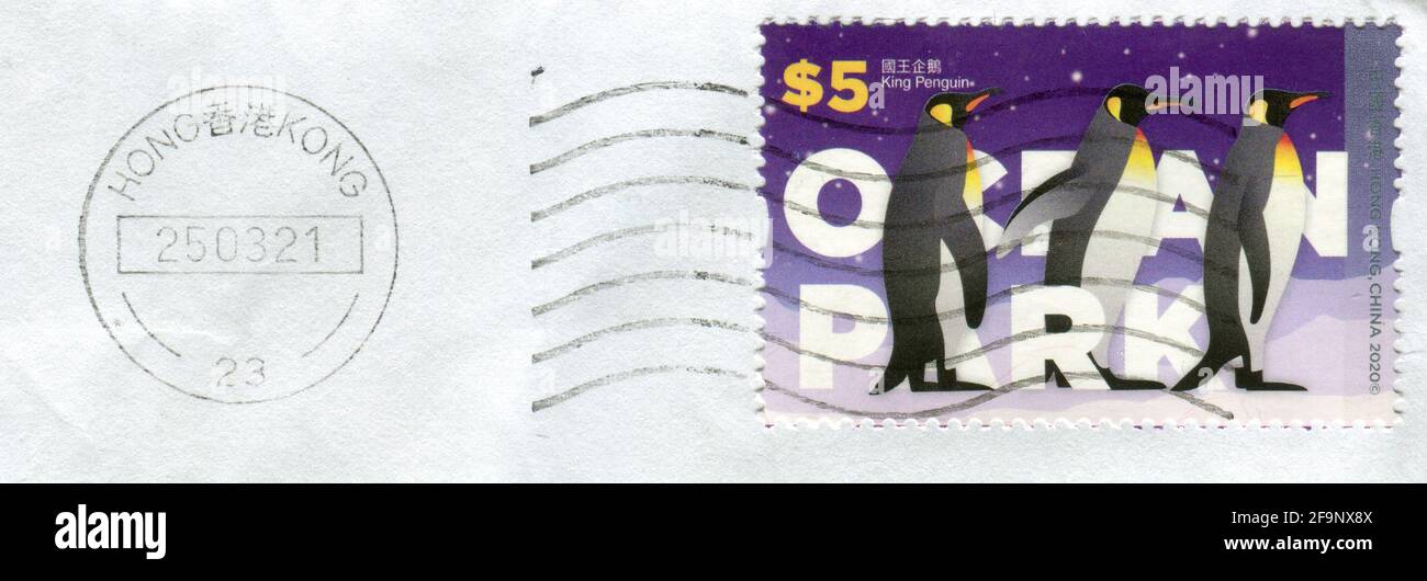 GOMEL, BELARUS, 20 APRIL 2021, Stamp printed in HONG KONG, China shows image of the King Penguins, circa 2020. Stock Photo