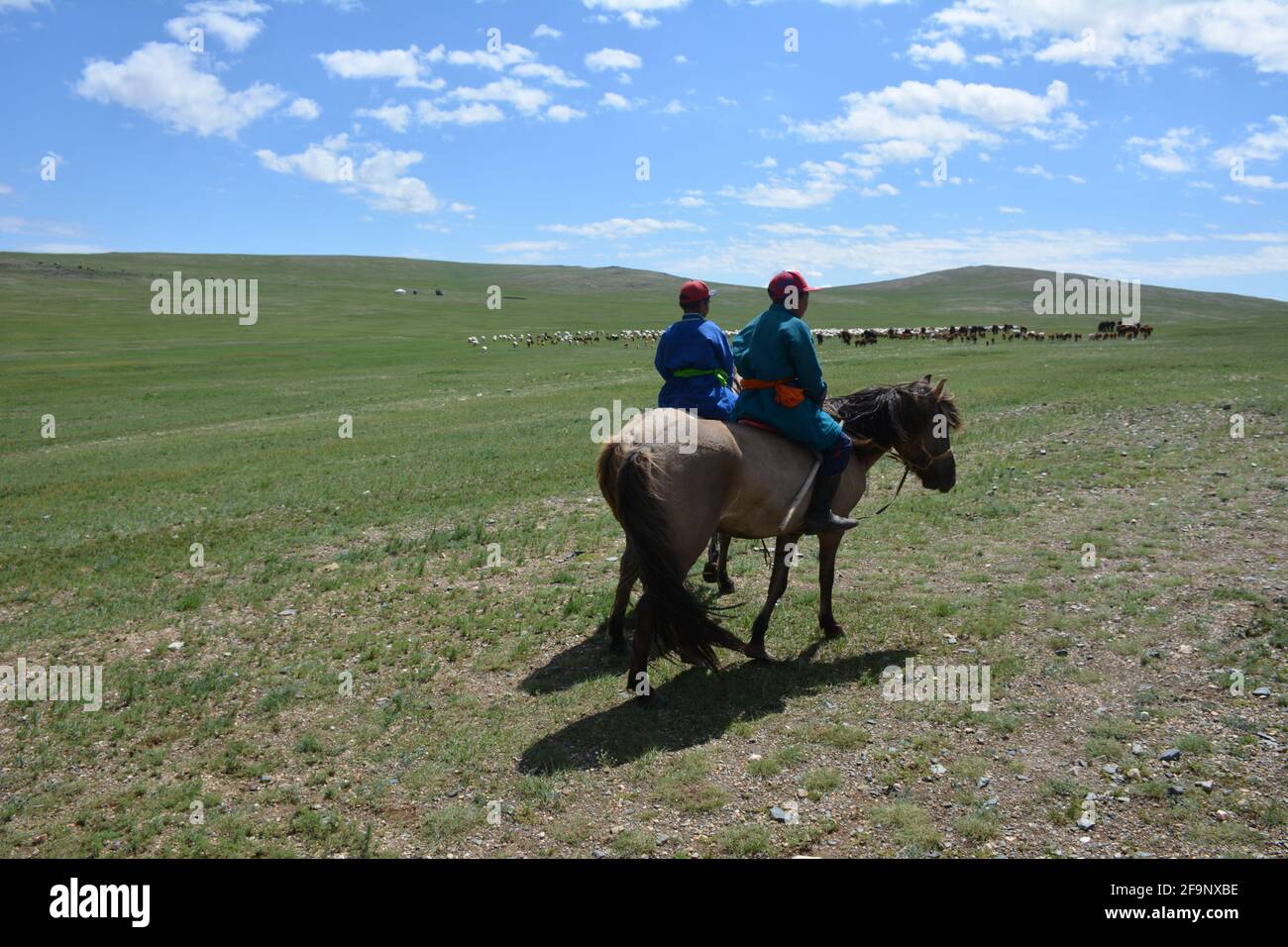 Child nomadic herders in traditional dress on horseback on the steppes ...