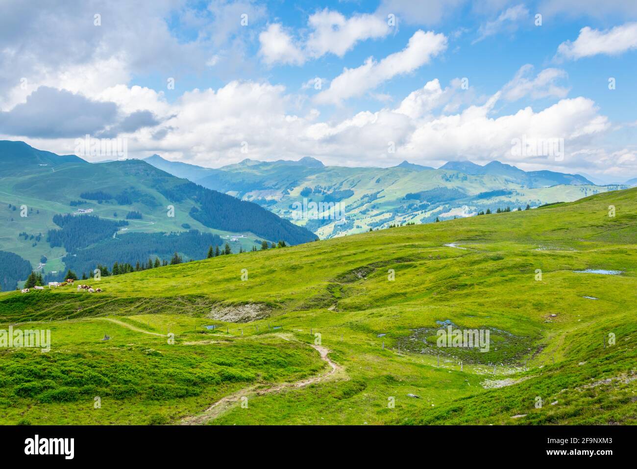 View of the alps along the famous hiking trail Pinzgauer spaziergang near Zell am See, Salzburg region, Austria. Stock Photo