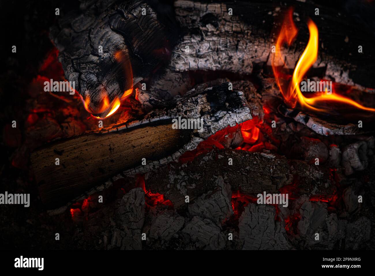 Wood logs are burning in the fireplace Stock Photo - Alamy