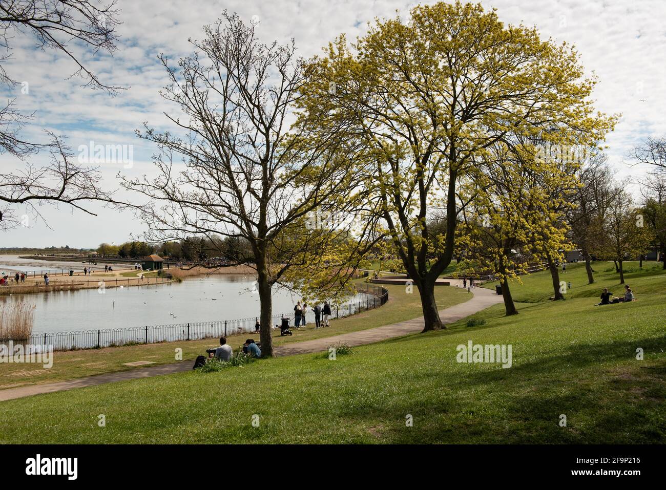 People chilling family time by small lake at Maldon bay Essex Restrictions being lifted Stock Photo