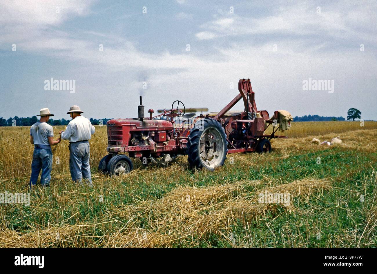 Two farm workers inspect a sample of their wheat crop in a field on a farm in the USA in the early 1950s. The tractor and the harvesting equipment are stationery while they confer. Sacks of grain lie behind the equipment. This image is from an old American amateur Kodak colour transparency – a vintage 1950s photograph. Stock Photo