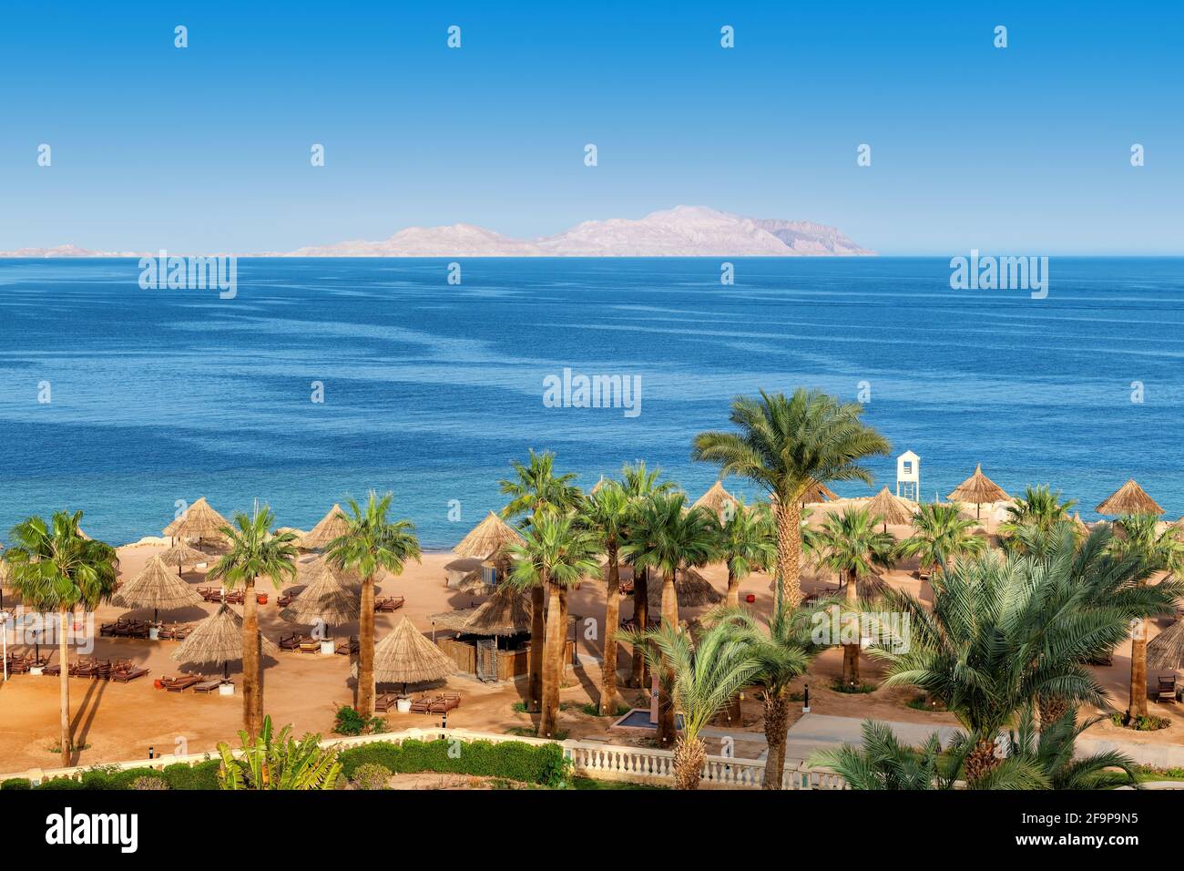 Aerial view of palm trees on Sunny beach in tropical resort Stock Photo