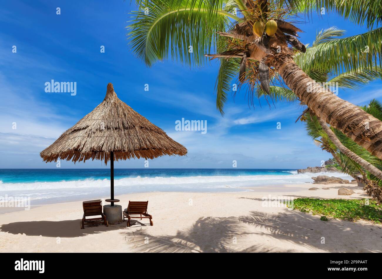 Tropical Paradise beach. Parasol in Sunny beach with palm trees and  turquoise sea Stock Photo - Alamy