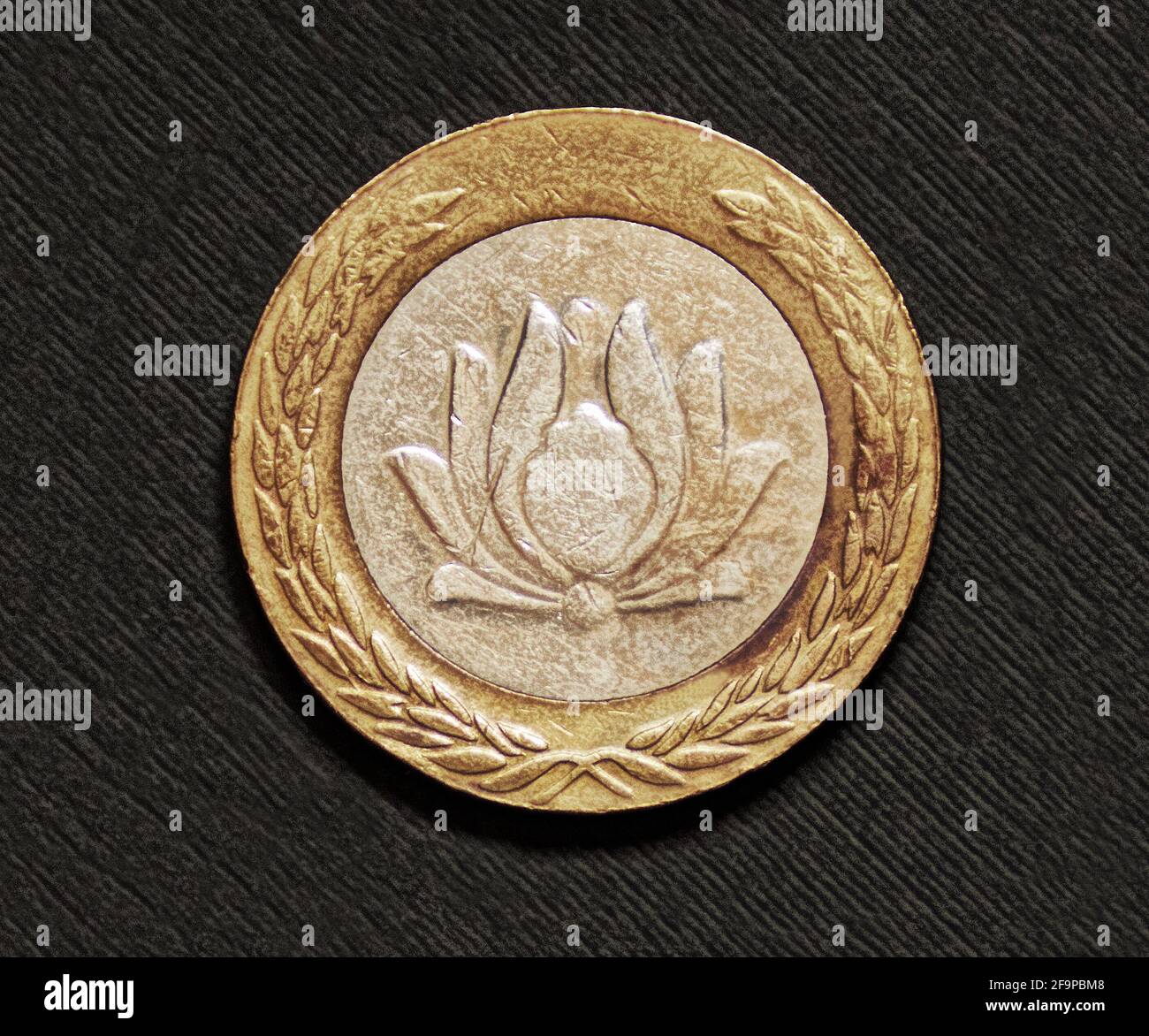 Photo coins Iran, 250 rial, 1993-2003, Lotus Flower Stock Photo - Alamy