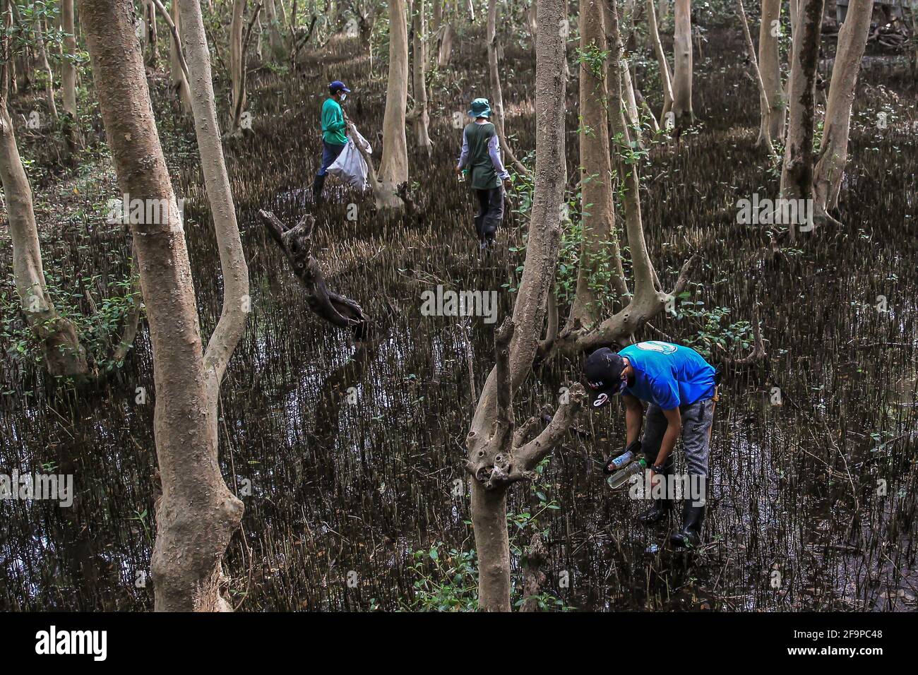 park branches philippines