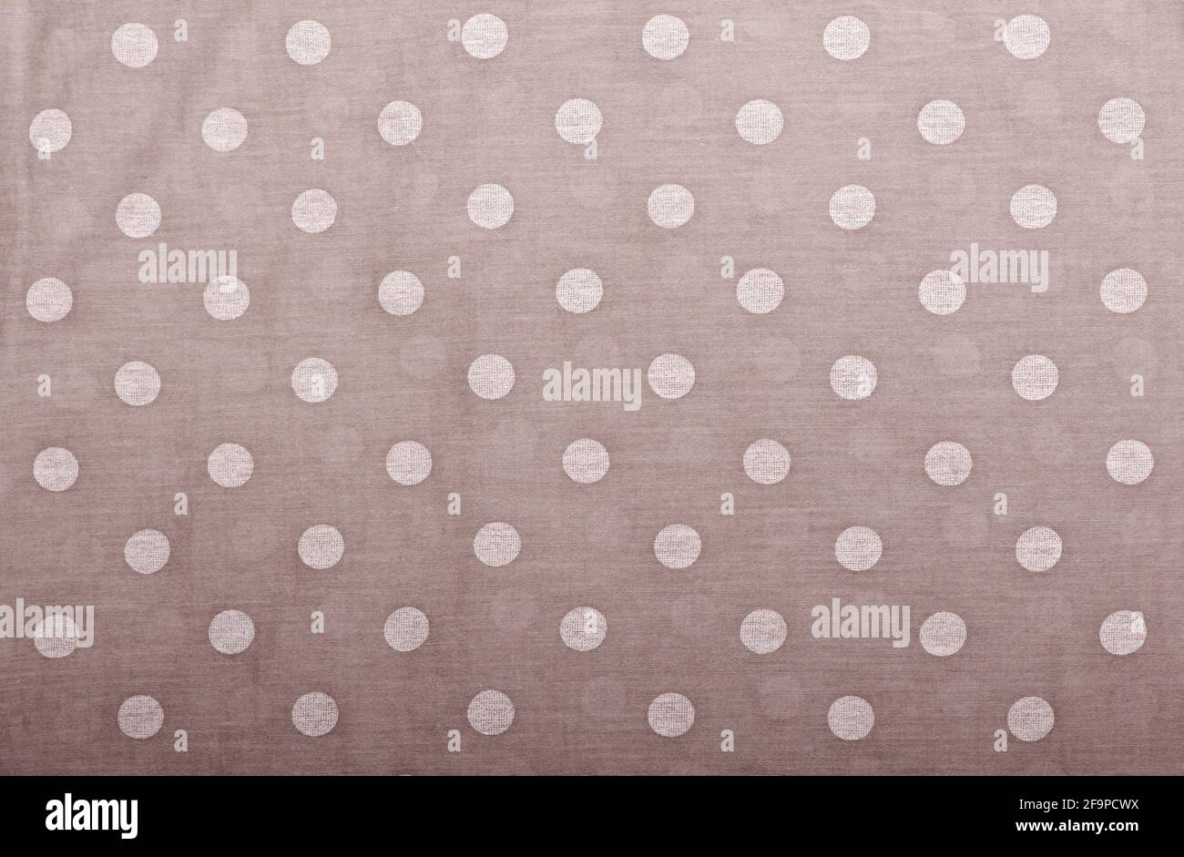 light gray tile pattern or textures set with white polka dots on light gray background Stock Photo