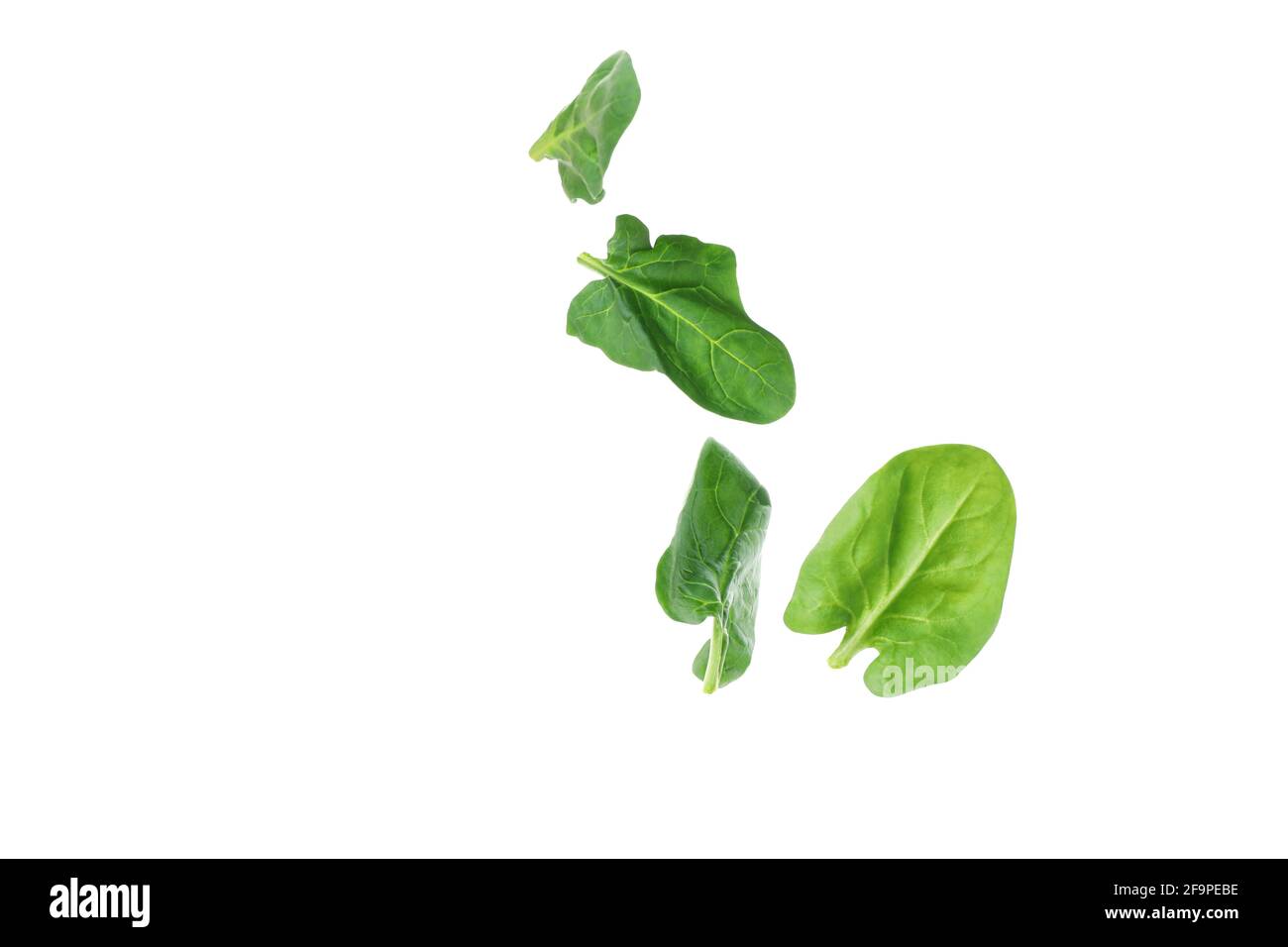 Fresh spinach leaves isolated on white background Stock Photo - Alamy