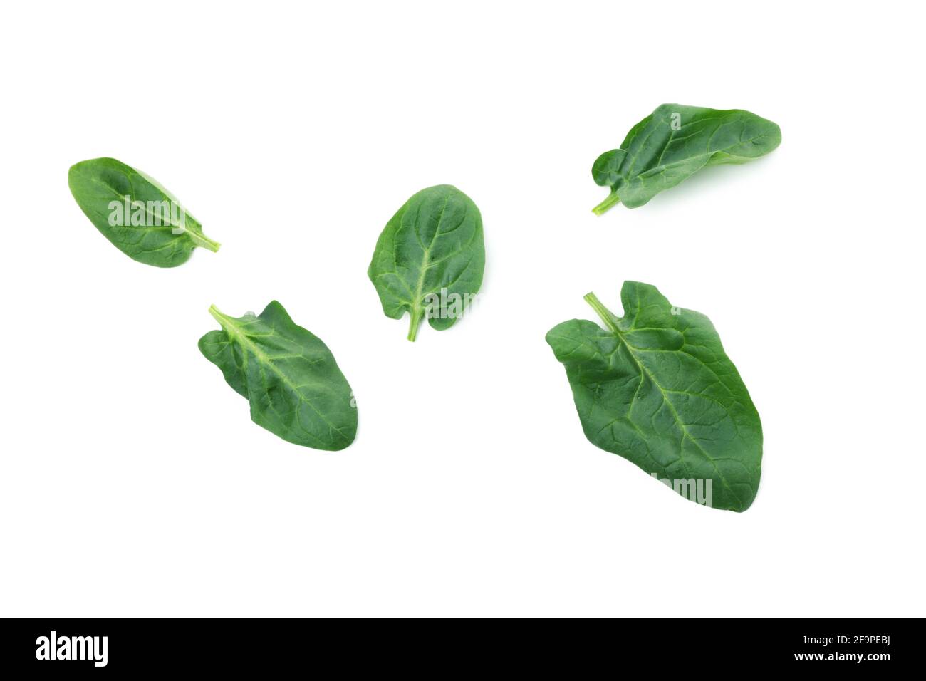 Fresh spinach leaves isolated on white background Stock Photo - Alamy
