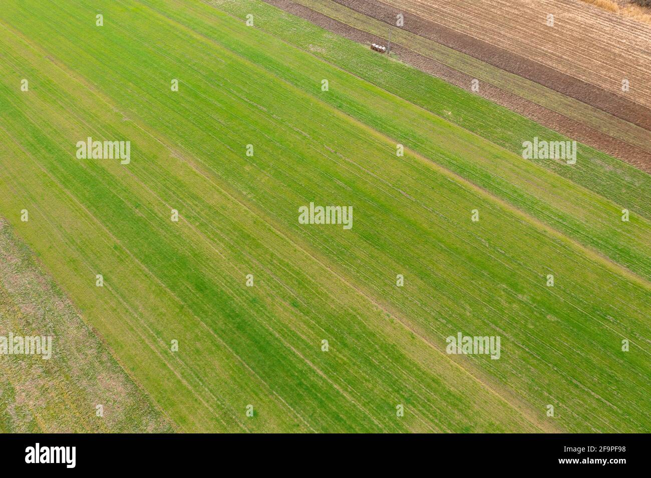 Cultivated farm field hi-res stock photography and images - Alamy