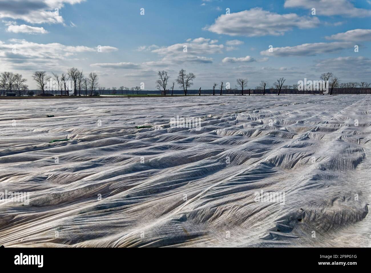 Spargelhof Klaistow, Erlebnisbauerhof, PotsdamMittelmark Stock Photo