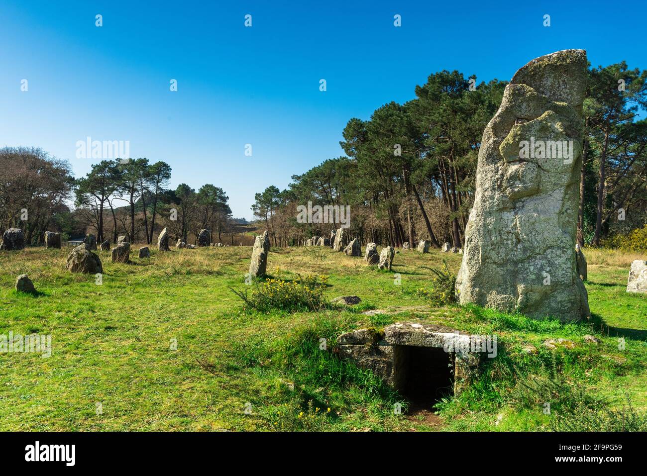 Menhir and old celtic tomb near Carnac Stock Photo