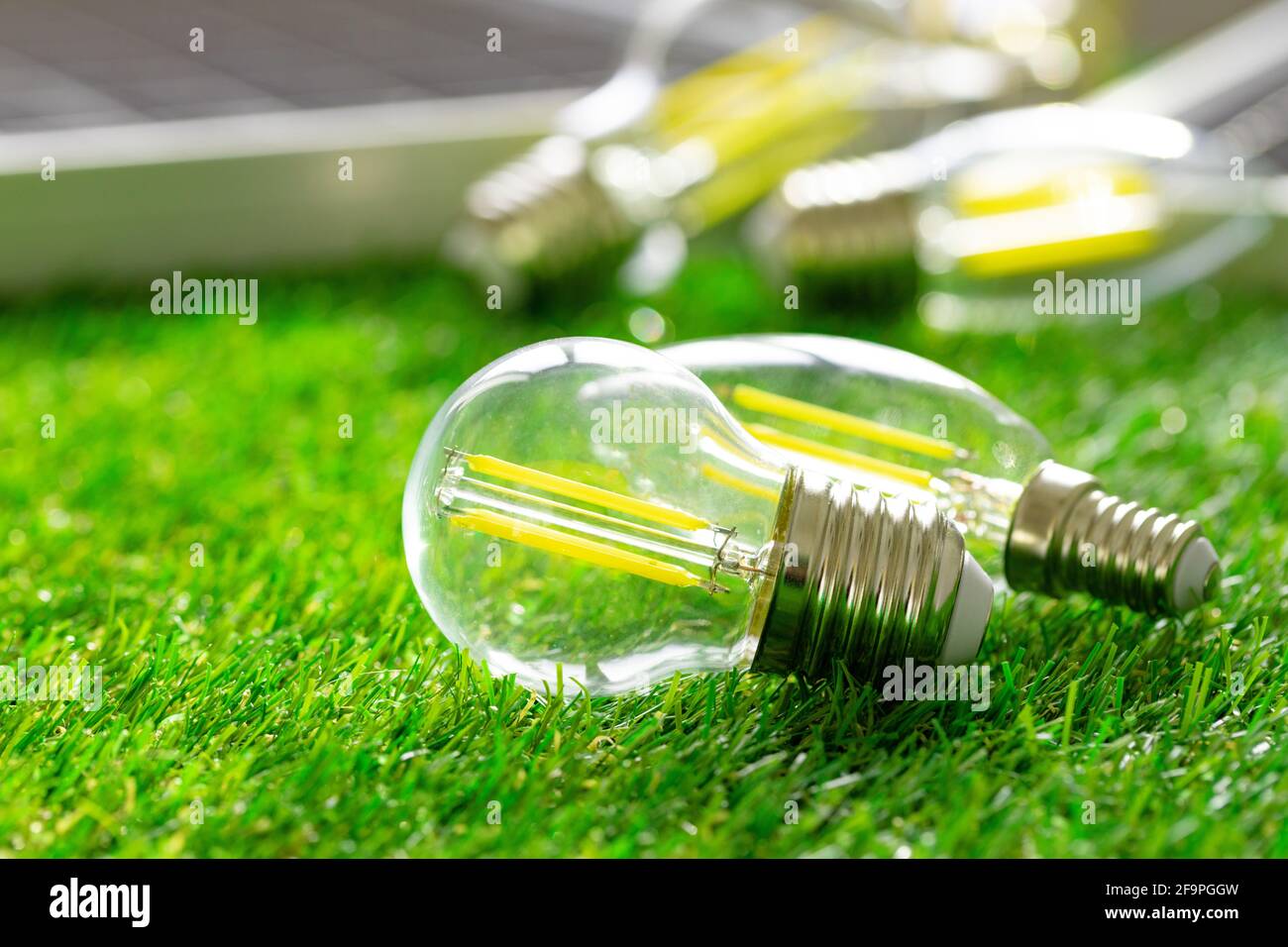 Energy efficient light bulb lying on grass Stock Photo - Alamy