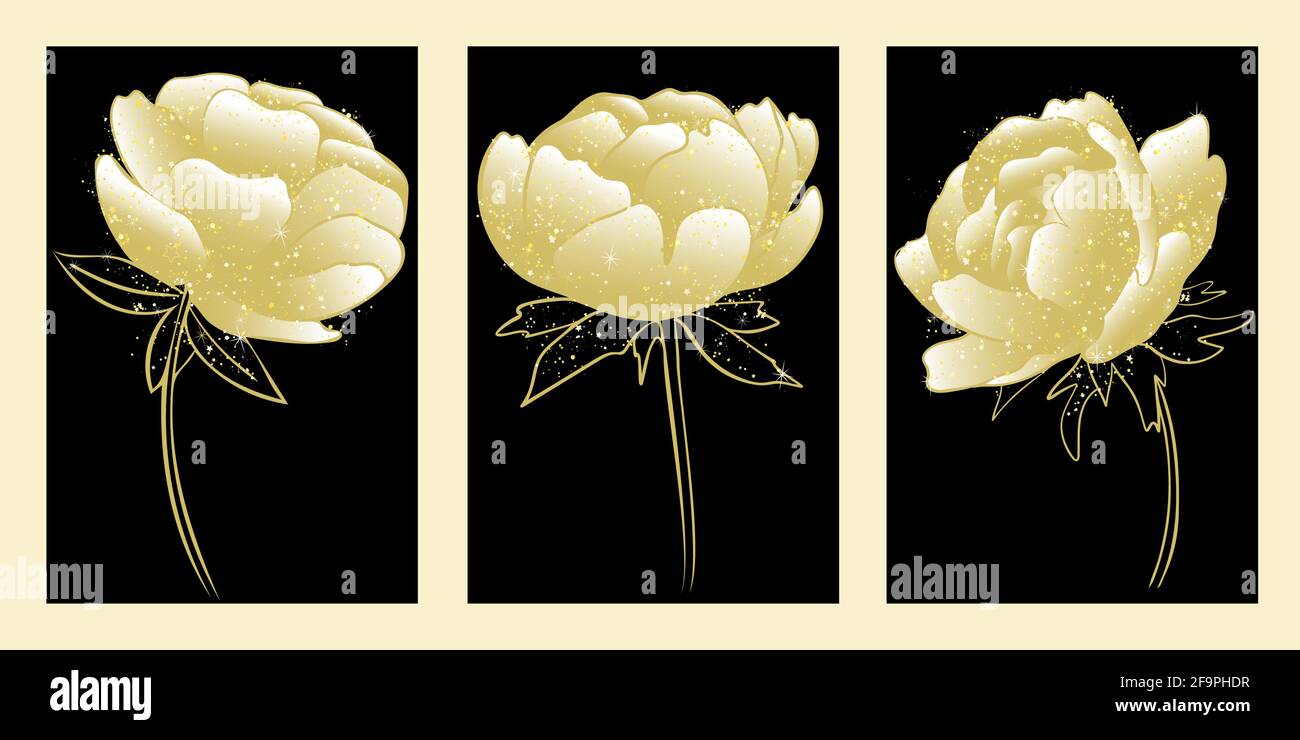 Set of golden peonies. Flowers of gold on a black background. Wall decoration. Template for cards and invitations. Modular picture.Vector. Stock Vector