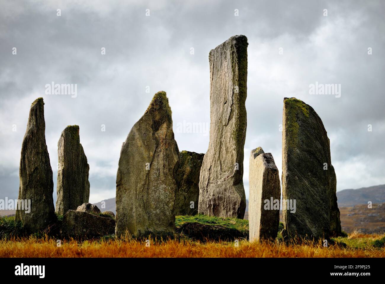 Tursachan prehistoric stones at Callanish, Lewis, Scotland. aka Callanish I. Centre monolith and circle stones showing Lewisian gneiss granite texture Stock Photo