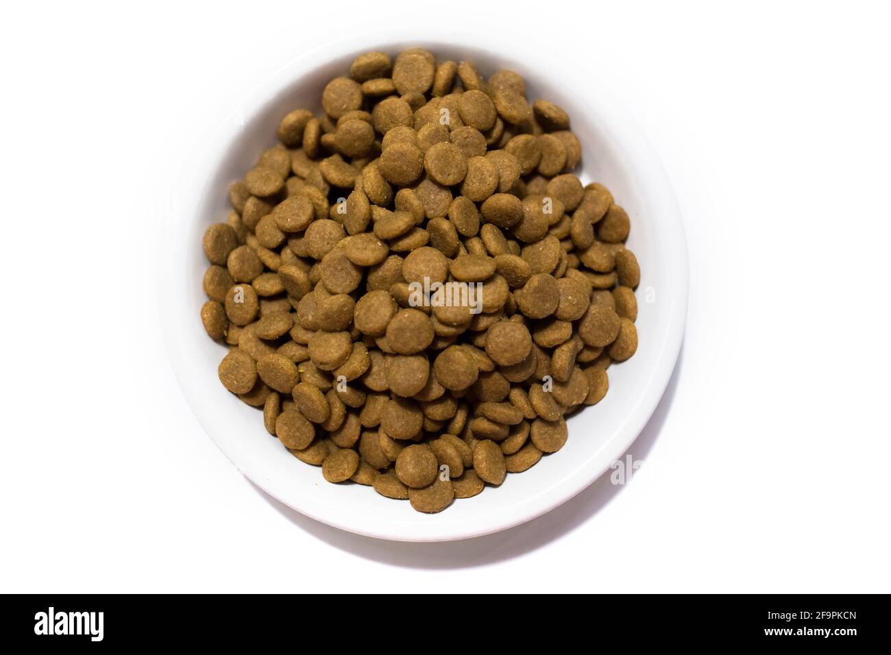 Dry food for cats and dogs in a white bowl. Studio white background