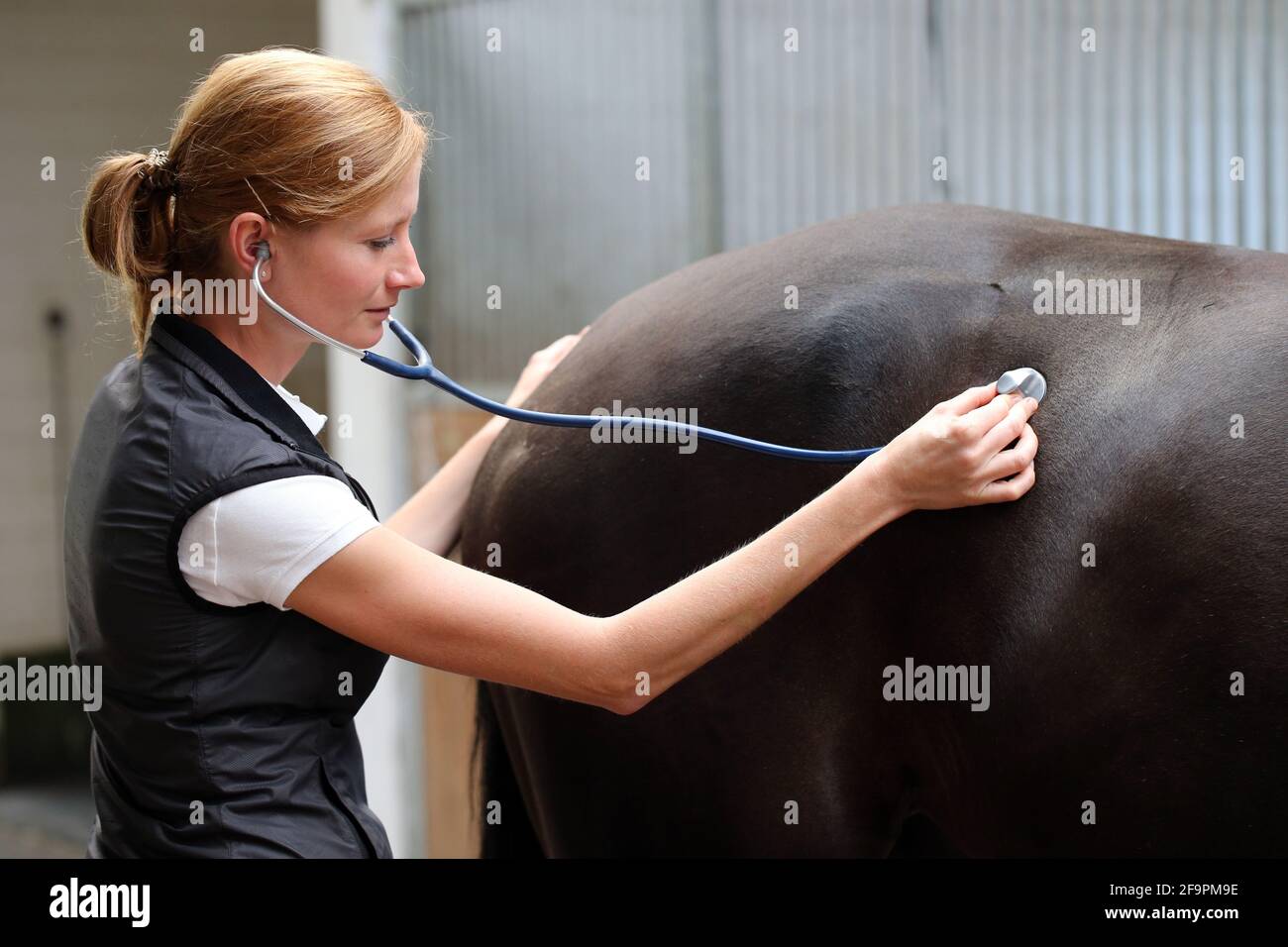 Intestinal obstruction hires stock photography and images Alamy