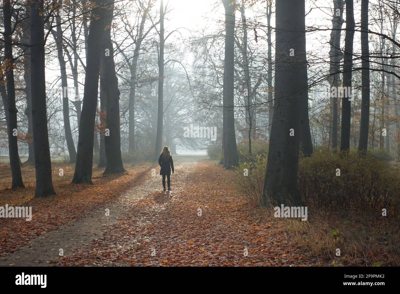 N 40 11 50 hires stock photography and images Alamy