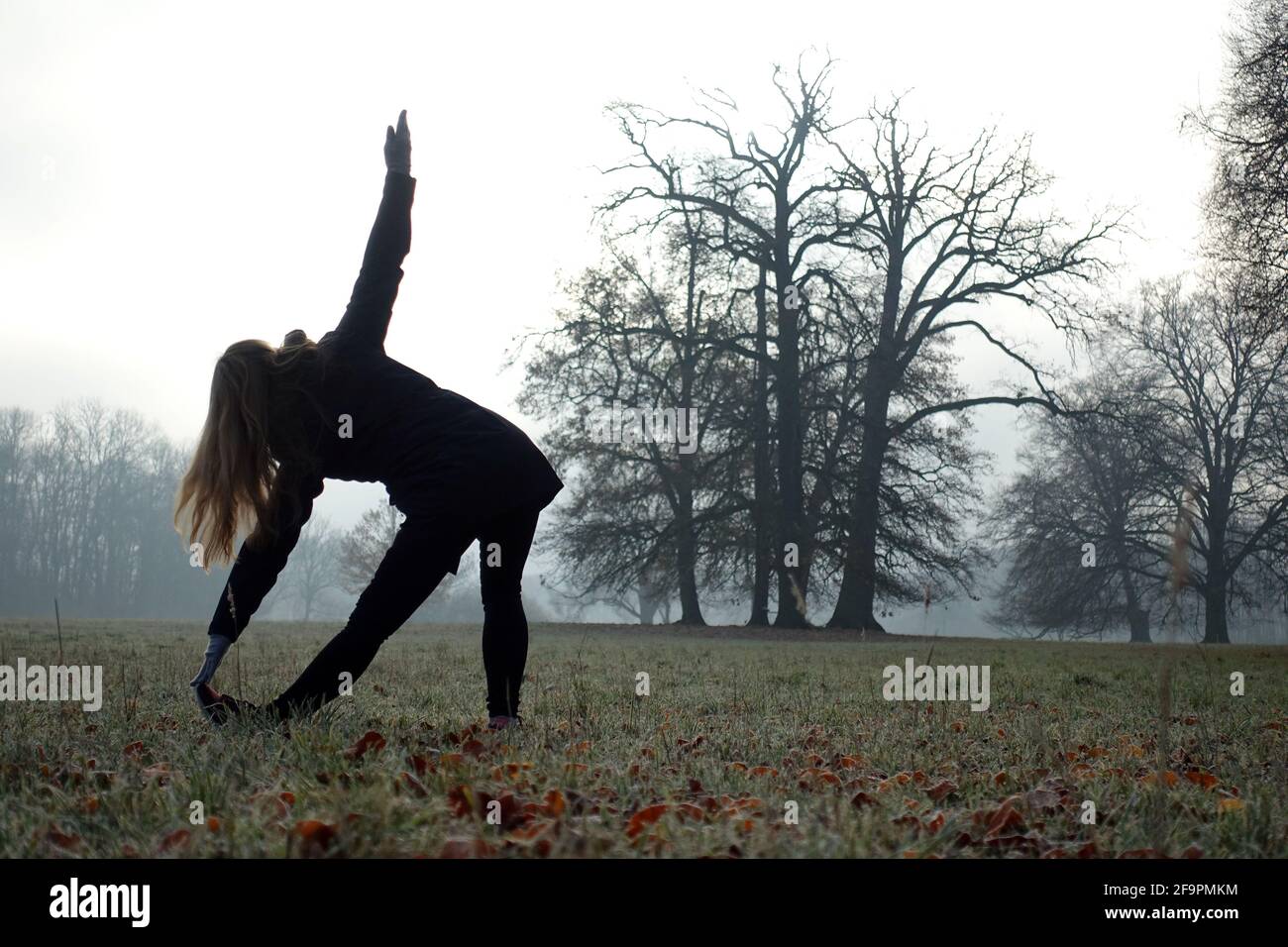 Gymnastic exercises hires stock photography and images Alamy
