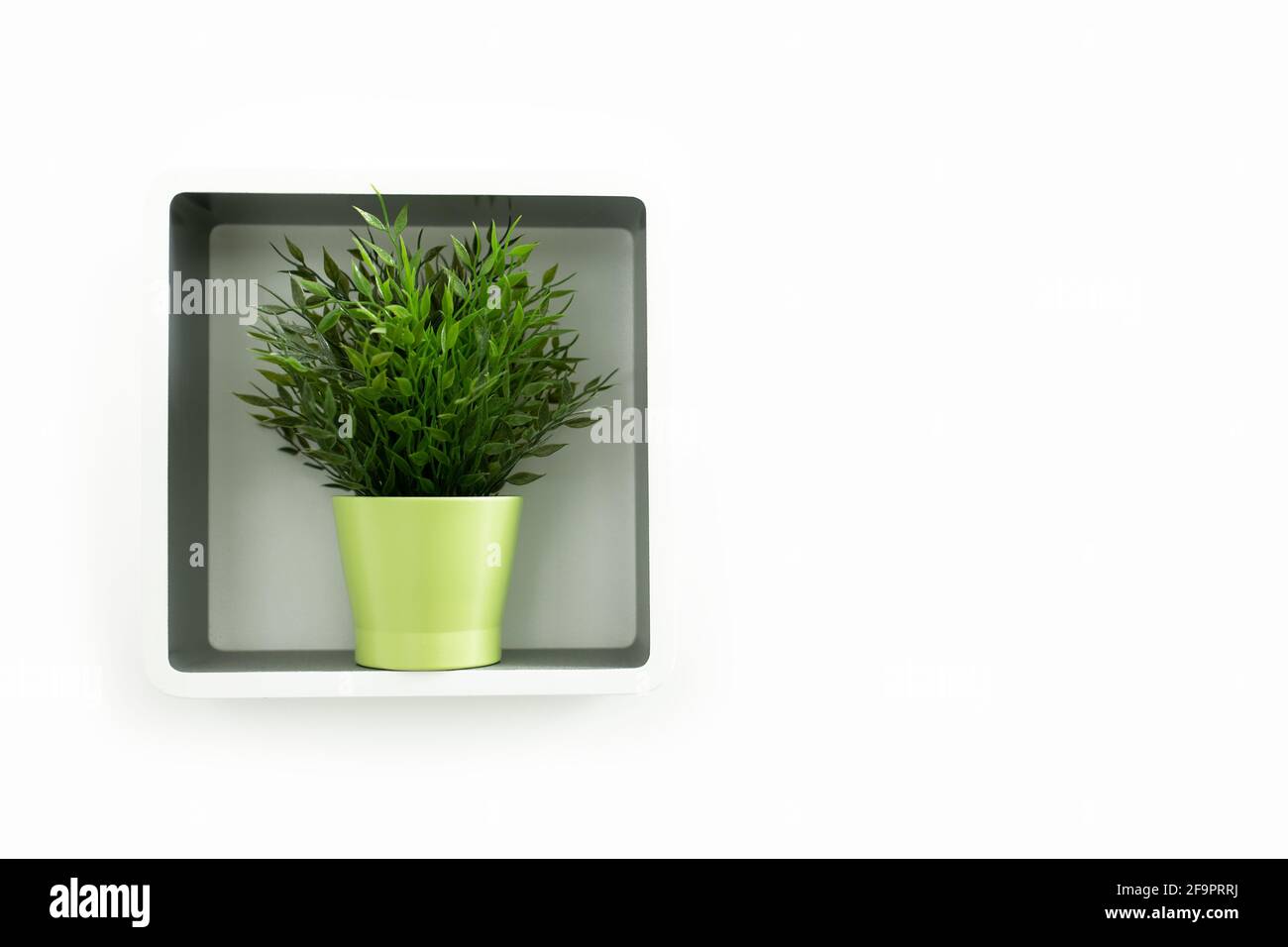 Photo of decorative grass in green pot on white square shelf. house decoration flower. Stock Photo