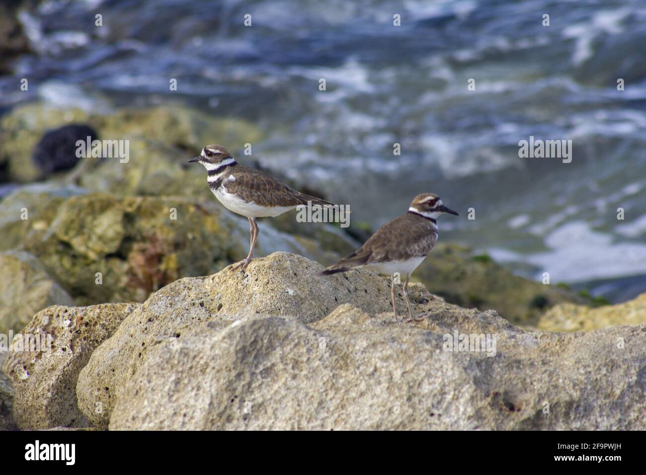 Sharp white rocks hi-res stock photography and images - Alamy