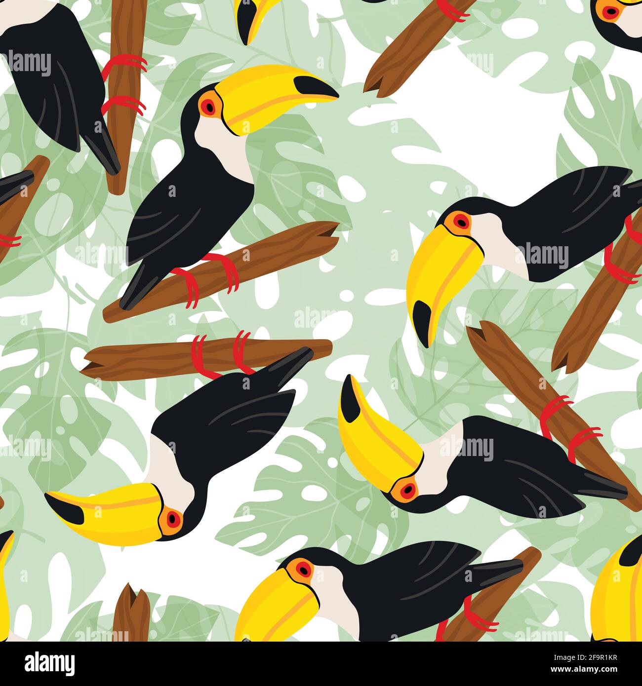 65 Toucan Wallpaper  WallpaperSafari