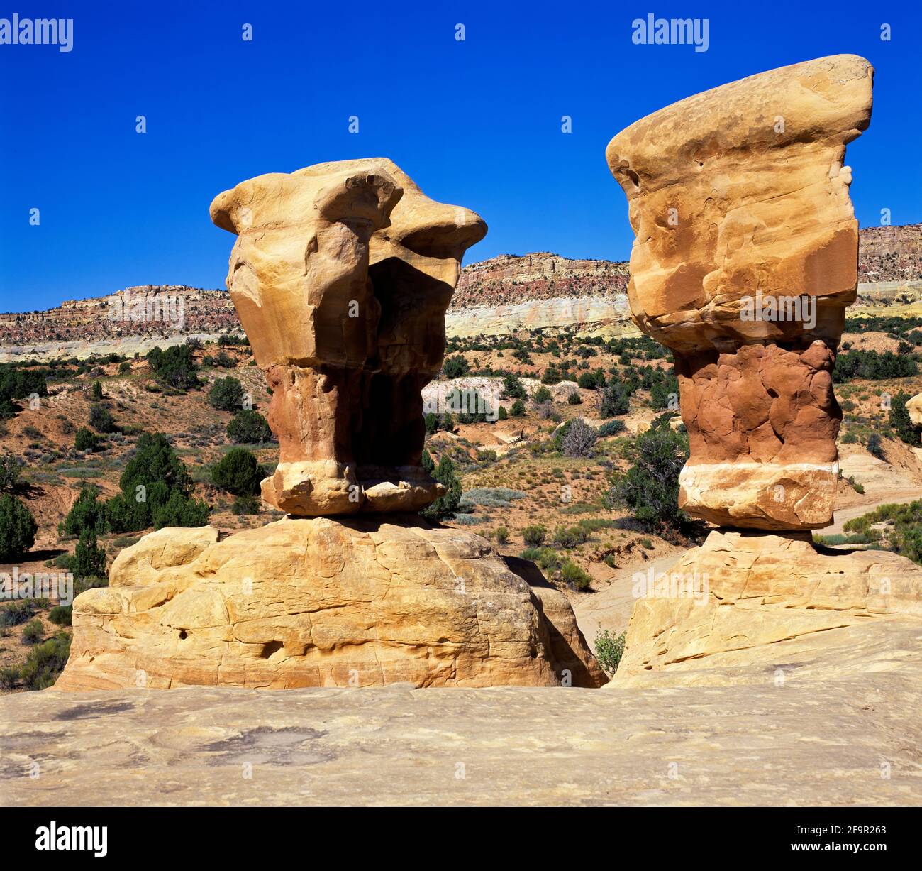 Hoodoos at Devils Garden of the Grand Staircase–Escalante National Monument Stock Photo