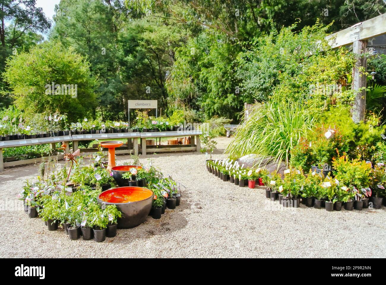 Kuranga Native Nursery in Australia Stock Photo Alamy