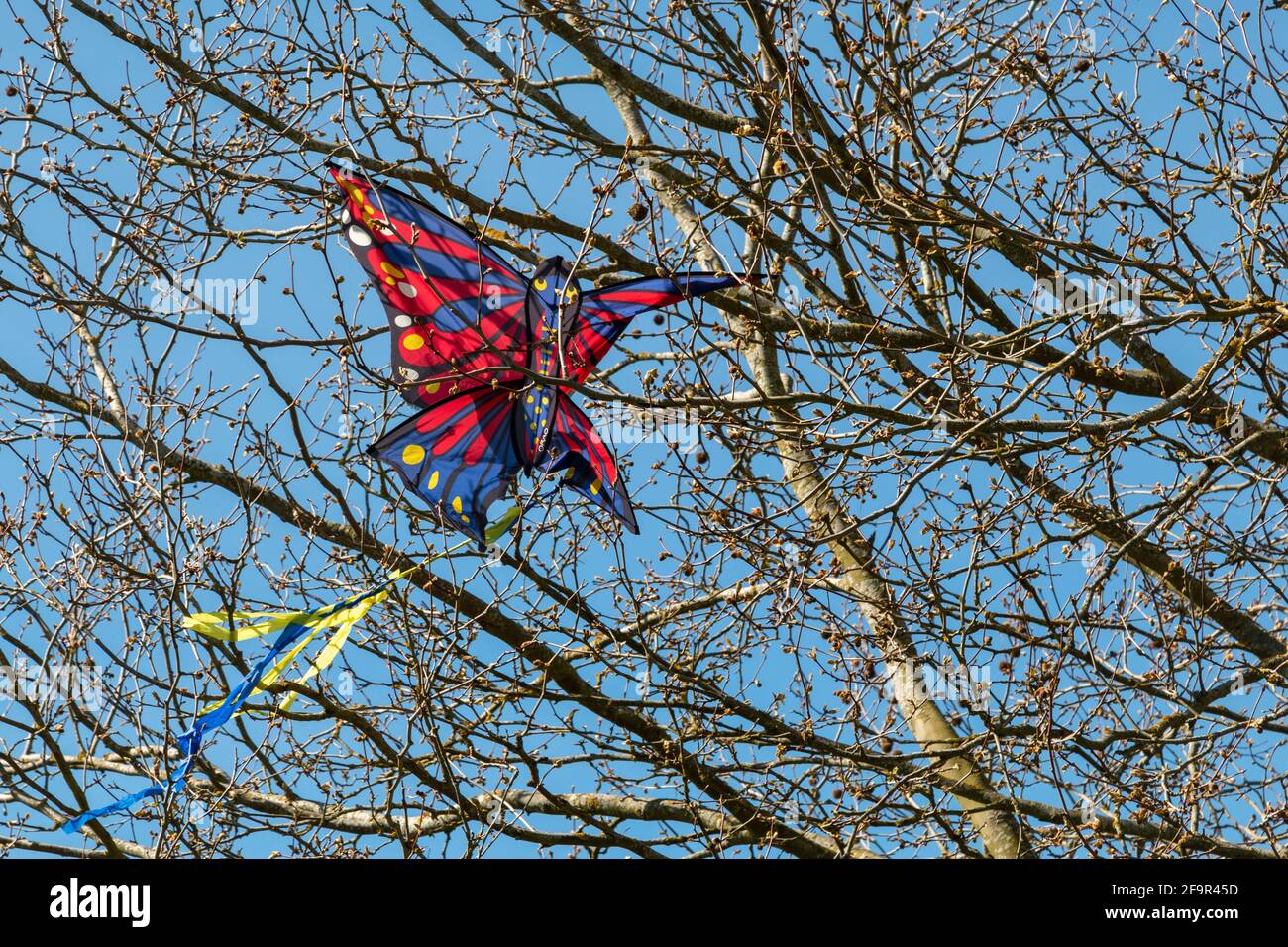 Kite stuck in tree hires stock photography and images Alamy