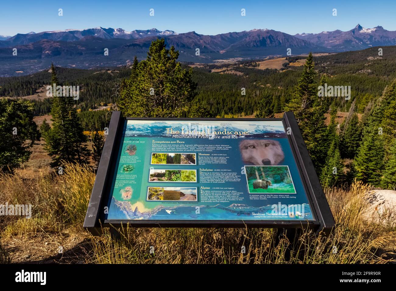 Interpretive sign about mountain ecology along the Beartooth Highway, in Shoshone National Forest, Wyoming, USA [No property release; available for ed Stock Photo