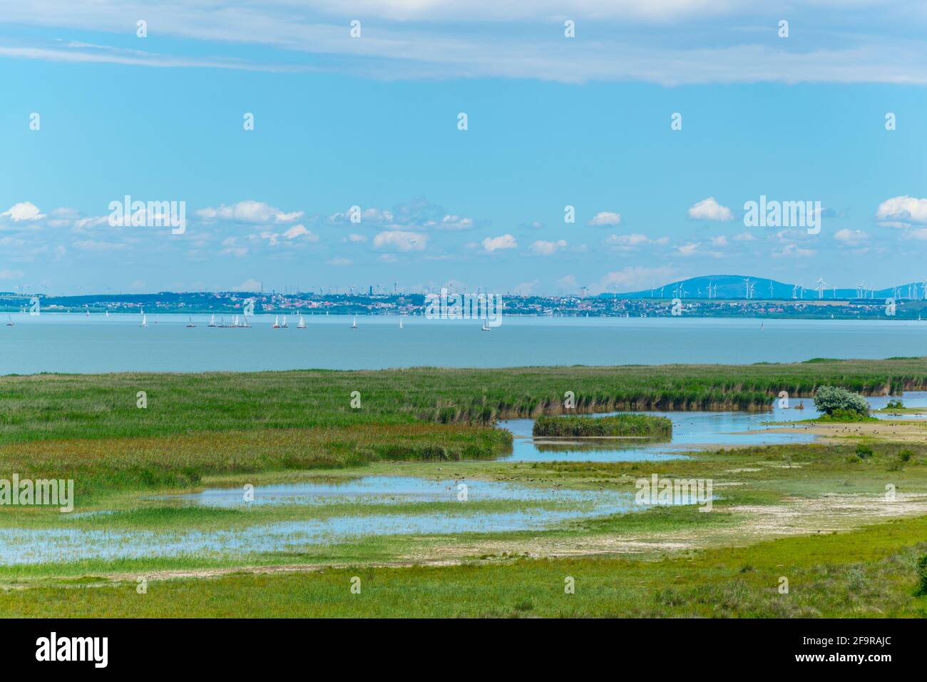 neusiedlersee lake on the border between Austria and Hungary Stock Photo
