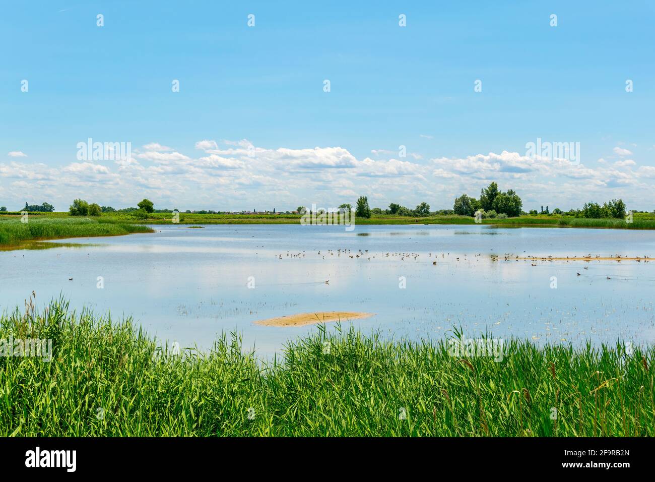 a saline lake situated next to the neusiedlersee in Burgenland, Austria. Stock Photo