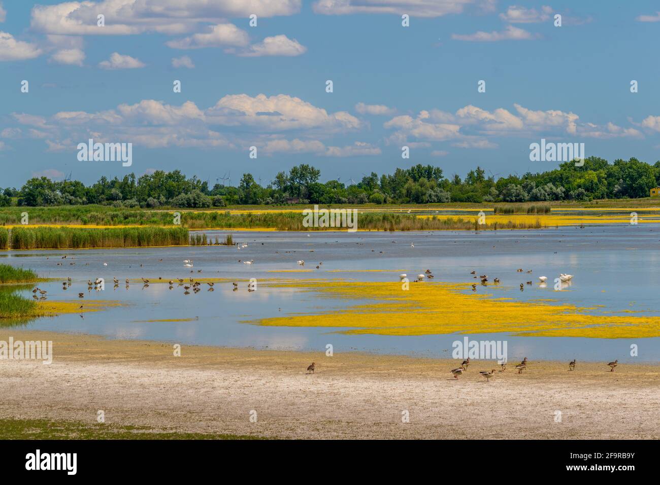 a saline lake situated next to the neusiedlersee and Ilmitz village in Burgenland, Austria. Stock Photo