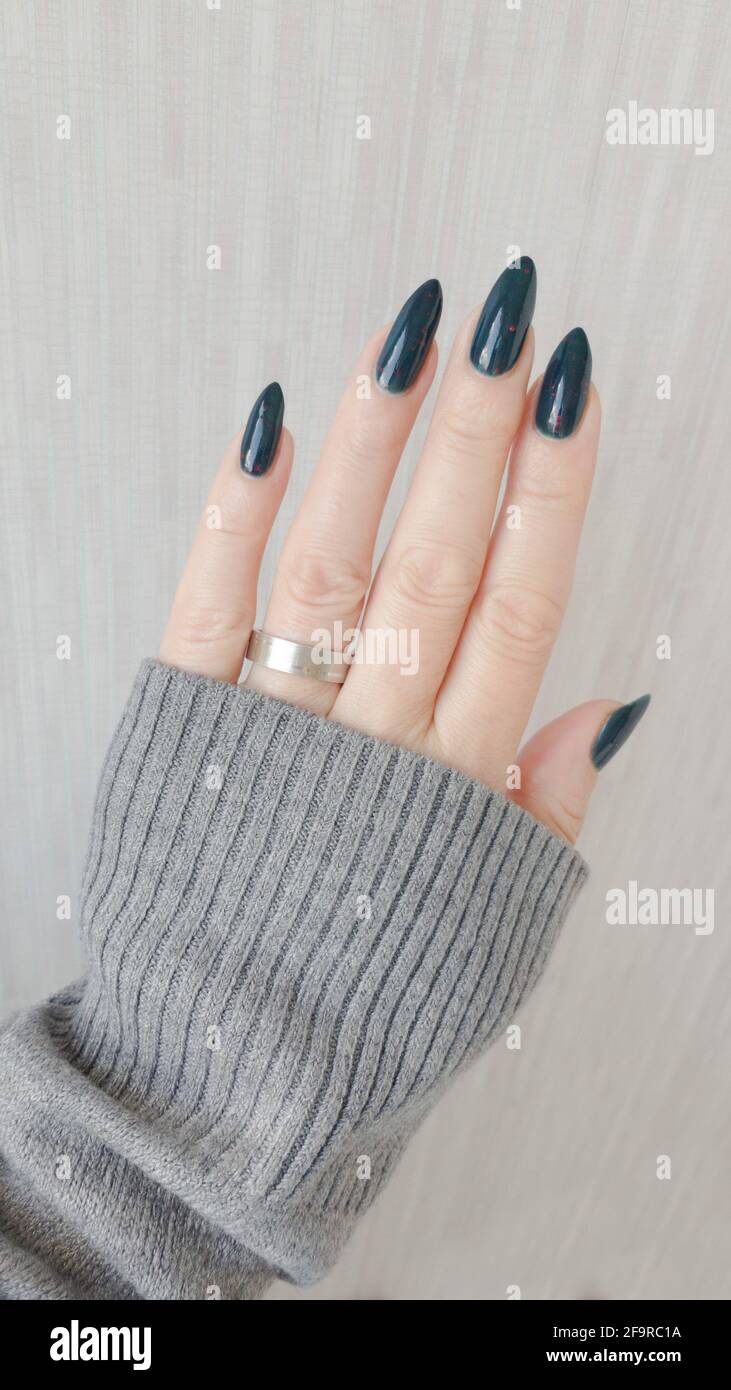 Female hand with long nails and dark blue teal manicure holds a bottle of  nail polish Stock Photo - Alamy