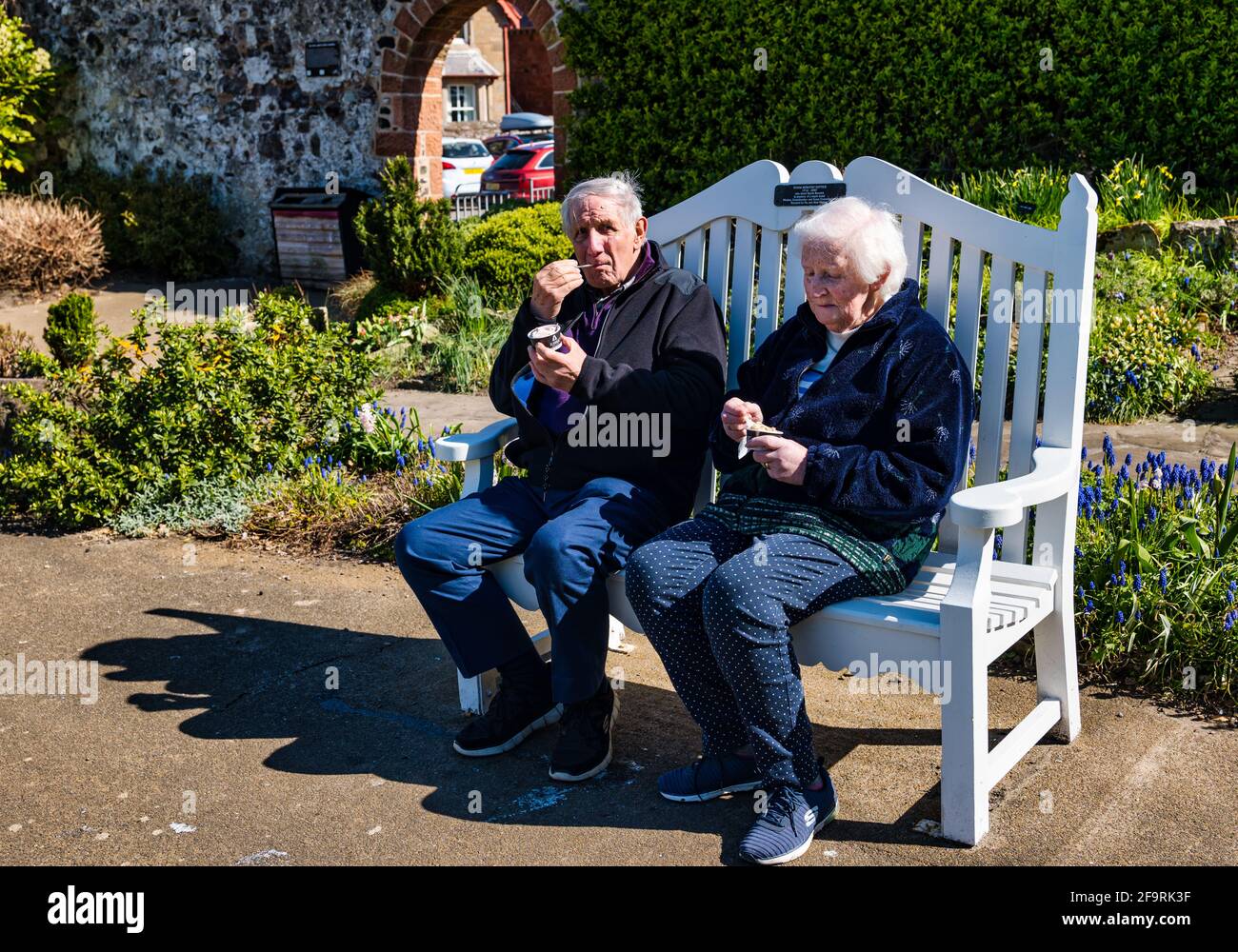 Elderly couple sitting on bench eating ice cream in sunshine, Lodge Grounds park, North Berwick, East Lothian, Scotland, UK Stock Photo