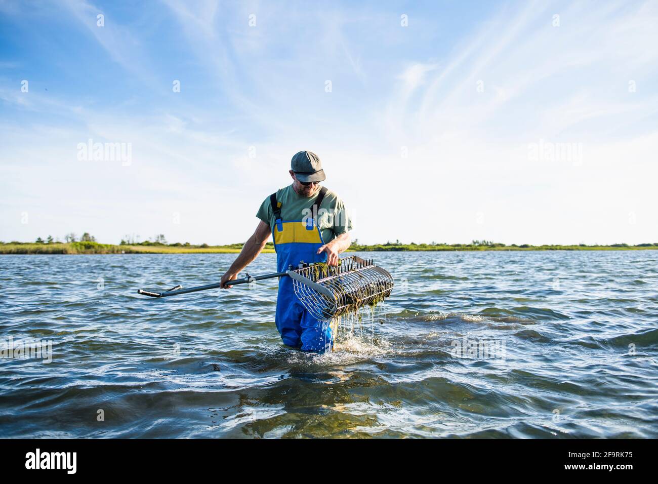 Man working on the water in aquaculture oyster farm Stock Photo