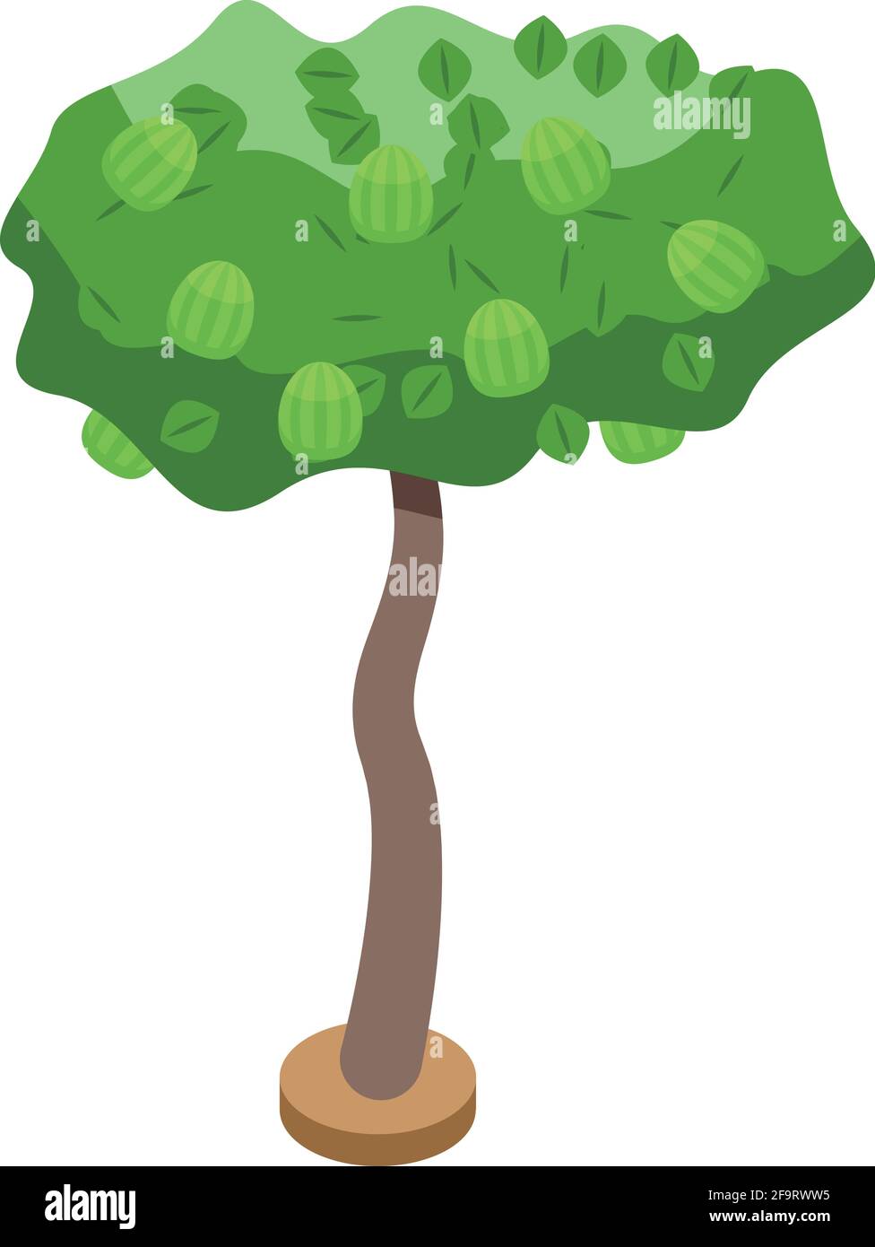 Berry fruit tree icon. Isometric of Berry fruit tree vector icon for ...