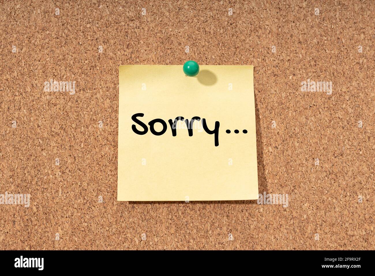 Sorry word on yellow note on cork board Stock Photo