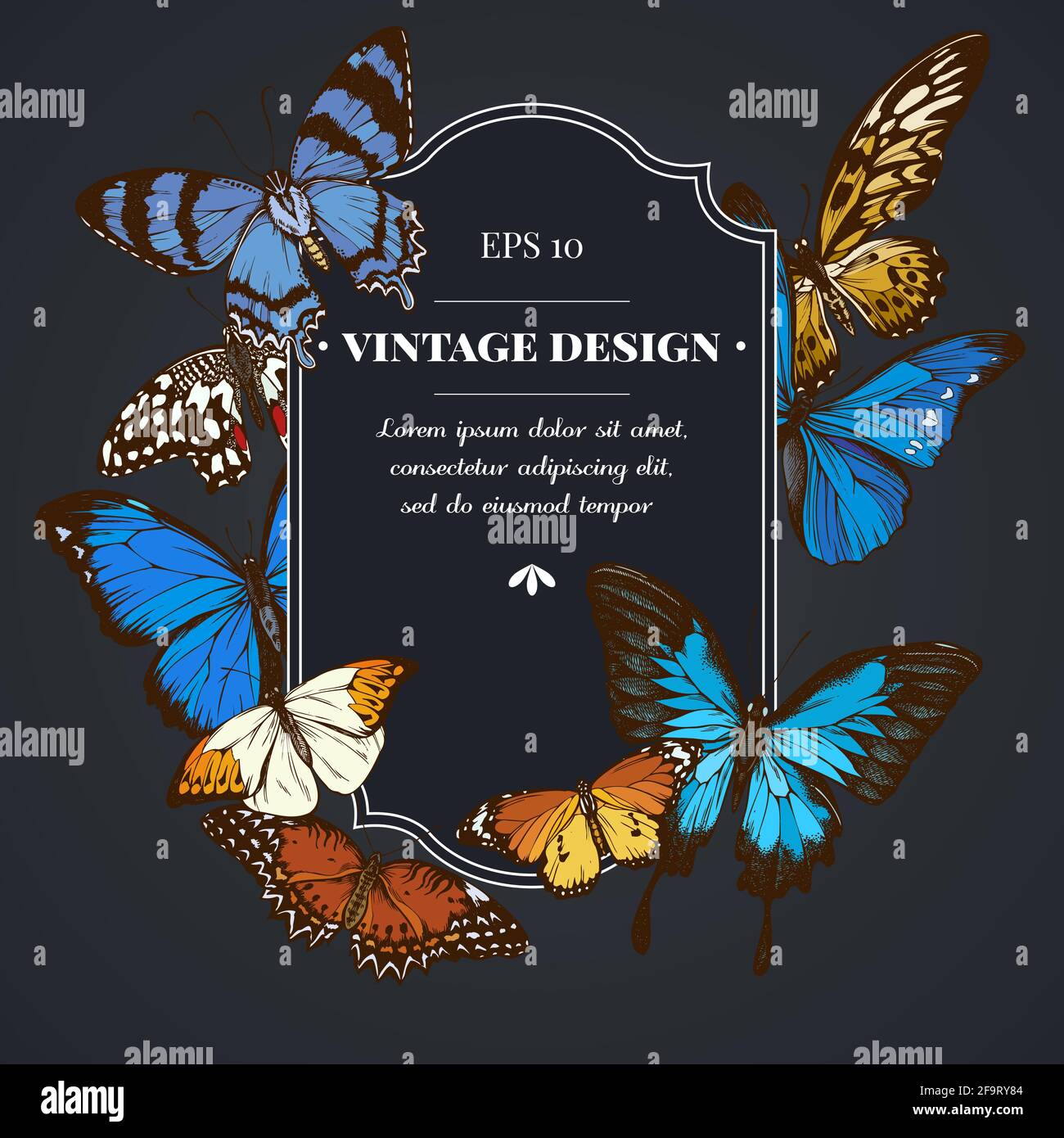 Dark badge design with blue morpho, red lacewing, african giant swallowtail, alcides agathyrsus, great orange-tip, plain tiger Stock Vector