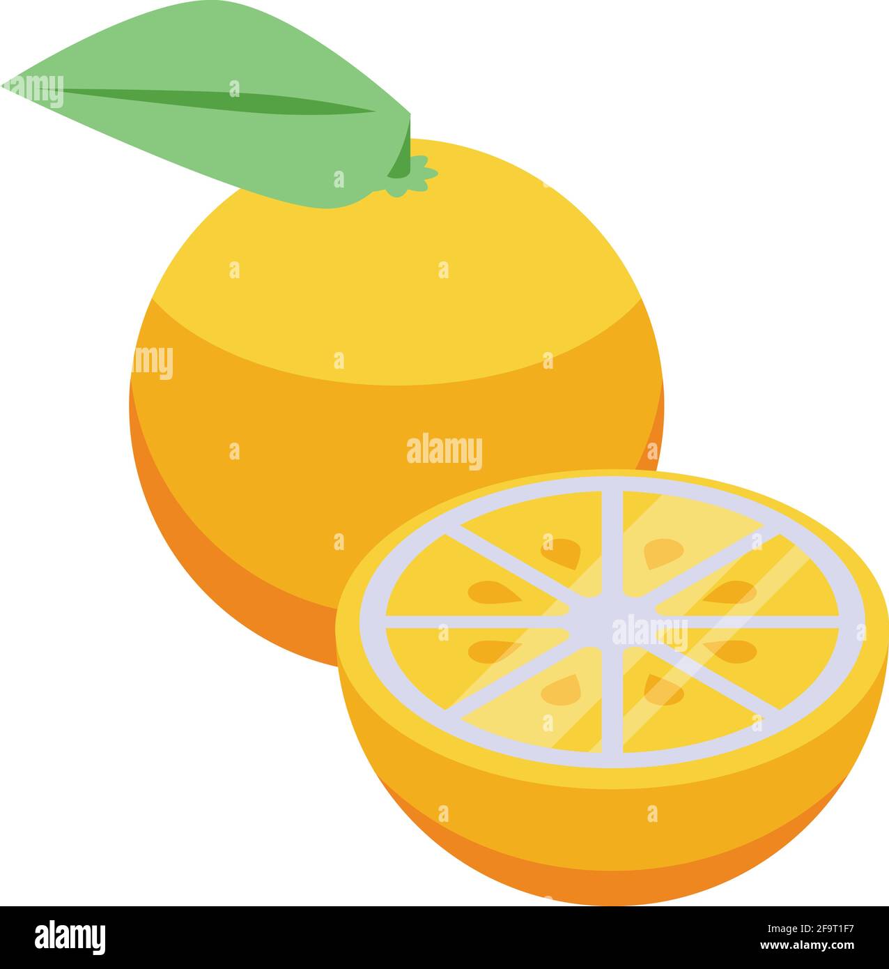 Citrus allergy icon. Isometric of Citrus allergy vector icon for web design isolated on white