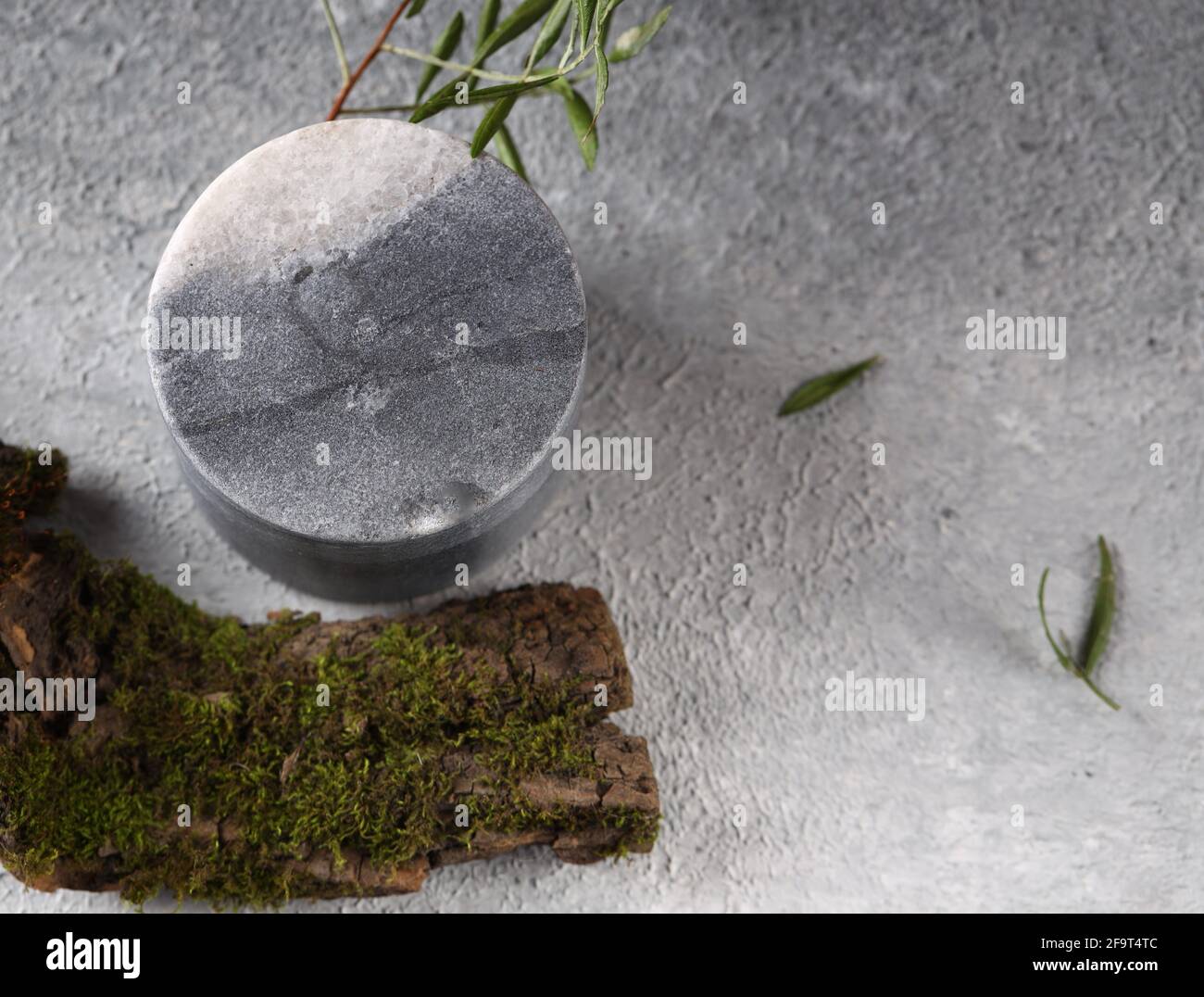 modern style organic background for design Stock Photo - Alamy