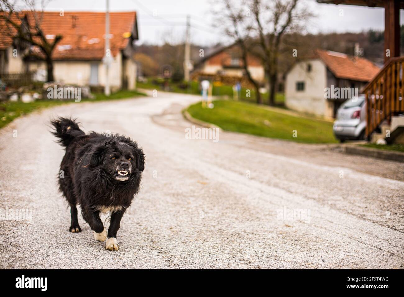 Wrc Croatia Rally High Resolution Stock Photography and Images - Alamy