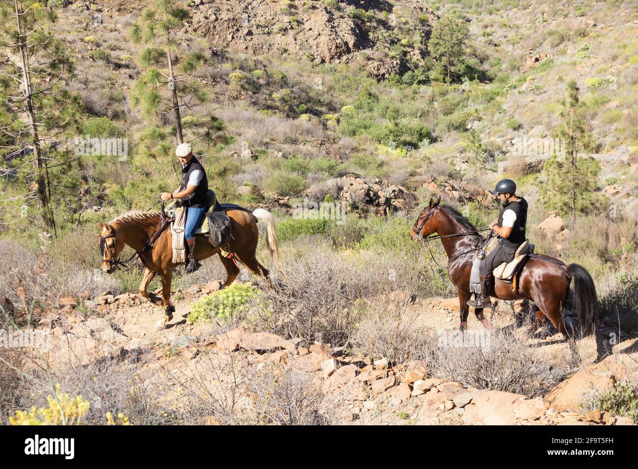 Horseriding in the mountains of Gran Canaria, Canary Islands. Spain Stock Photo