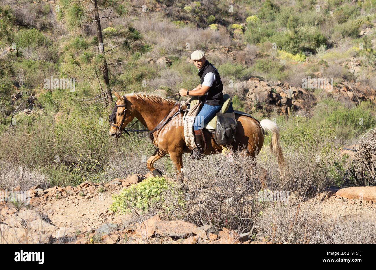 Horseriding in the mountains of Gran Canaria, Canary Islands. Spain Stock Photo