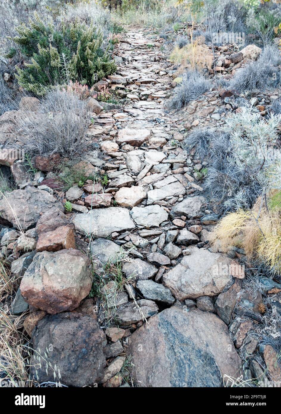Stone footpath, camino real, between mountain villages on Gran Canaria, Canary Islands, Spain Stock Photo